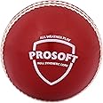 SG Rubber Cricket Balls PROSOFT(Red)*