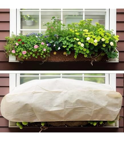 Zoegneer Schtzen Sie Ihre Pflanzen vor Frost, Wind und Regen mit  rechteckiger Blumenkasten-Abdeckung (100 x 40 x 45 cm),  FX85W9216UZ2BW364F7CP50: Amazon.de: Elektro-Grogerte