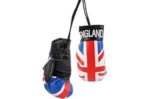 Hwtcjx Mini Boxing Gloves, Mini Punching Gloves for Car Home Quality Gift Novelty, 1 Pair