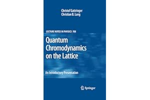 Quantum Chromodynamics on the Lattice: An Introductory Presentation (Lecture Notes in Physics, Band 788)