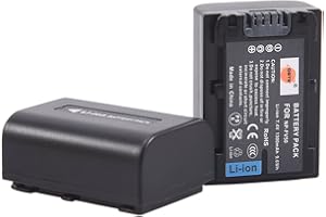 DSTE ELECTRON DSTE 2PCS NP-FV50 Li-Ion Akku Kompatibel mit Sony HDR-CX220,HDR-CX430V,HDR-CX900,HDR-CX260V,HDR-CX580V,HDR-CX760V,HDR-PJ200,HDR-PJ230,HDR-PJ340,HDR-PJ380,HDR-PJ430V