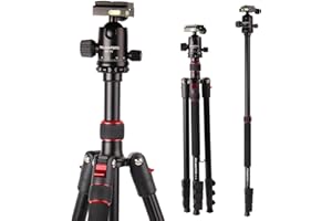 POLAM-FOTO 168.2cm Treppiedi Fotocamera, treppiede monopiede da viaggio con testa a sfera con borsa per il trasporto per Canon Nikon/DSLR/SLR Camera
