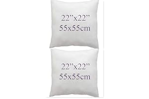 ARLINENS Pack of 2 Duck Feather & Down Cushion Pad Inner Insert -100% Natural Cotton Anti Dust Mite and Down Proof Cushion Pads Cover/Non Allergenic (22x22)