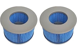 WuYan Ersatzfilter 2 Stück für MSPA FD2089, Filter für Whirlpool, Kartuschenpumpe für heiße U-Boote und Spa,Wasserfilter Modell ab 2020(Verbesserte Version Blau)