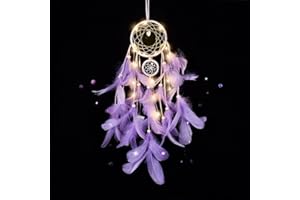 CHMMY LED Acchiappasogni,Fiore Fatto a Mano Piume Acchiappasogni Decorazione per la Casa per Ragazze Camera da Letto Decorazione da Appendere a Parete Ornamento Craft Regalo (Dreamcatcher-6)