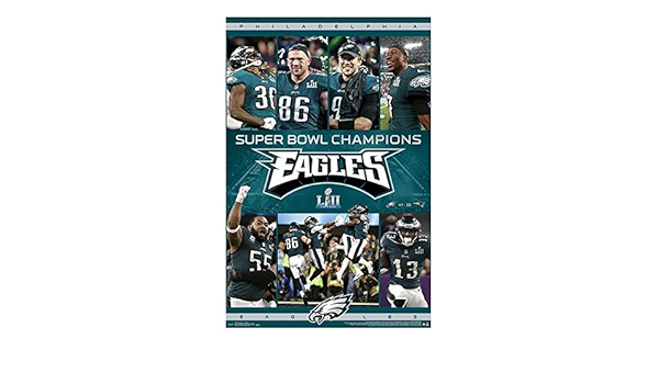Philadelphia Eagles 2022 Super Bowl Lii Champions Team Colors Christmas Stocking Trends International Philadelphia Eagles Super Bowl Lii Champions Team  Collage Nfl Poster Rp16495 : Amazon.co.uk: Home & Kitchen