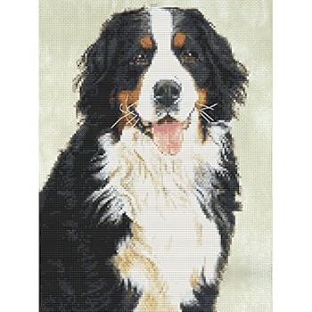 24x34cm Bouvier Bernois Diamant Peinture Chien Strass