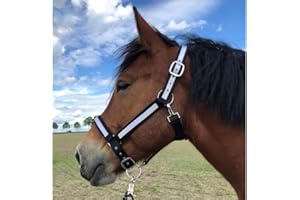 Licol pour chevaux à sang froid | Licol XXL full, licol d'écurie | Licol réglable 2 compartiments sur la mentonnière & la têtière (noir et blanc, XXFull (sang froid)