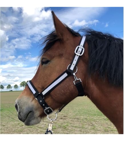 Cavezza Per Cavalli Equipride Con Lunghina - In Nylon E Finta Pelliccia, Motivo Cavallini, Regolabile, Colore Viola - Foto 13