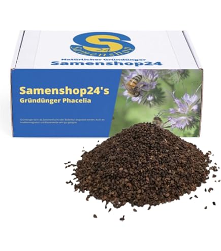 Samenshop24 Gelbsenf Saatgut - 5 Kg Für 1000 M² Gründüngung & Bodenverbesserung
