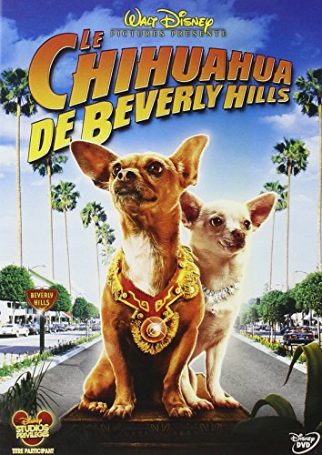 Le  chihuahua de Beverly Hills