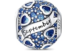 LNQOBU Birthstone Charms 925 Sterling Silver Charms for Bracelets or Necklace with 5A Cubic Zirconia Birthday Charms Girl Mother's Day Gifts