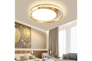 LANEKD LED Camera da letto Plafoniera Moderna Anelli Lampada da Soffitto Dimmerabile Con Telecomando Soggiorno Soffitto Lampadario Nero Lampada per Cucina Corridoio Studio Acrilico Design Lampada