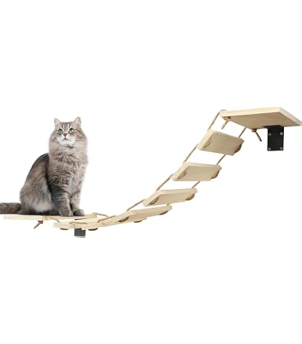 Cadre D'Escalade Pour Chat Miniature 3,2x4,8x6,8 Cm – Accessoire Maison De Poupée, Photographie Miniature, Décoration De Maquette – Cadeau Créatif