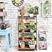 Wooden Brown Ladder Shape 5 Tier Designer Book Shelf Wall Rack Shelf RS.4999.00