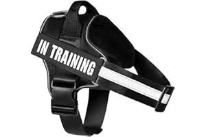 FDEETY Pettorina Cane Antifuga Regolabile Riflettente di Notte con Fibbia Anteriore Imbracatura per Cani Facile da Indossare Pettorina Taglia Piccola Media Grande per Passeggiate Corsa Addestrare