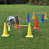 4 x Kombi-Kegelhürde 50 im Set, mit Stange 100 cm, für Agility - Hundetraining