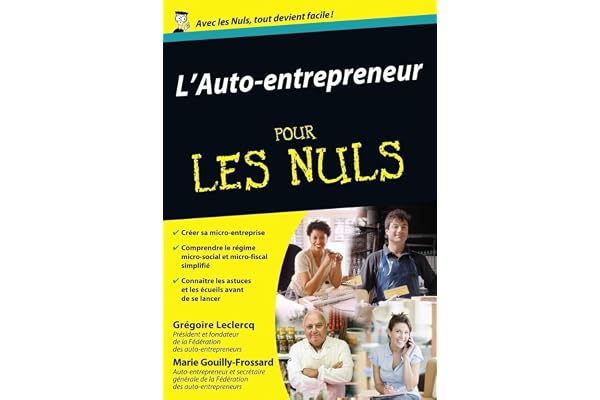 L'Auto-entrepreneur pour les nuls