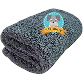 Beylini Kedi K&ouml;pek Battaniyesi Premium Peluş Evcil Hayvan Uyku Battaniyesi Yıkanabilir Gri (60x80)