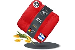 LILENO HOME Juego de 1 cojín para silla de color rojo (38 x 38 x 8 cm) - Cojín para silla de jardín, cocina o comedor - Cómodo y resistente a los rayos UV para interior y exterior, cojín para silla