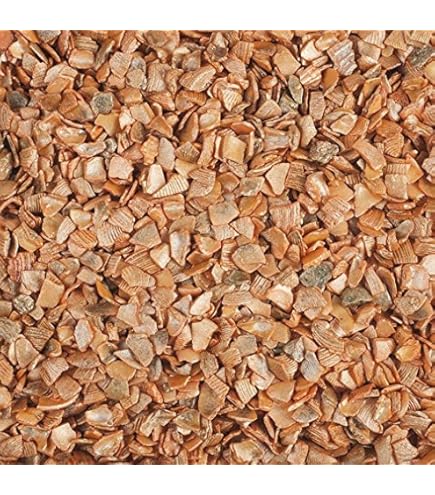 Zerkleinerte Muscheln 1000g - Natürliche Mosaik-Muschelfragmente Für DIY