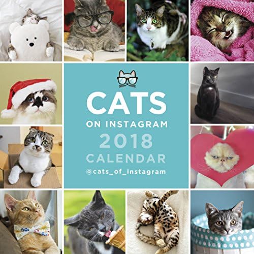 Cats on Instagram Mini SQ Calendar