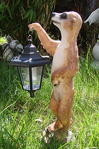 XL Erdmännchen Eddy mit Solarlaterne Figur Gartenfigur 40 cm - 3