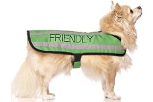 DEXIL FRIENDLY (Known as Friendly to all) Green Colour Coded S M L Reflective Waterproof Fleece Lined Warm Dog Coats PREVENTS Accidents By Warning Others Of Your Dog In Advance (S)