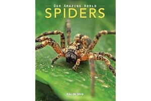 Spiders: Amazing Pictures & Fun Facts on Animals in Nature (Our Amazing World Series)