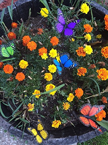 G2PLUS 18 Stk Schmetterling Gartenstecker 25CM Schmetterling Dekostecker als Deko für Garten oder Blumentopf - 4