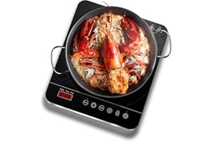 AAOBOSI Aobosi Single Induction Cooker,Portable Induction Hob with Slim Body,Ceramic Glass Panel,10 Temperatures and Power Levels Settings,3 Hours Timer,Safety Lock