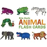 Animal Flash Cards