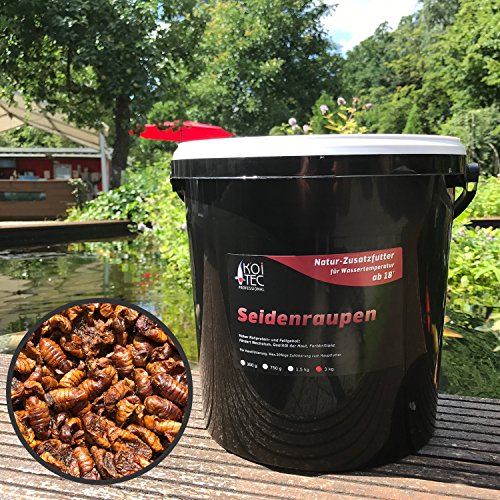 Seidenraupen Koi-Futter getrocknet 3kg – Raupen auch als Fischfutter, Reptilienfutter & Schildkrötenfutter geeignet – das Protein-Leckerli als Zusatzfutter kaufen