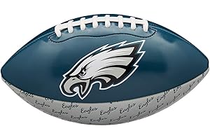 Wilson Ballon de Football Américain, NFL CITY PRIDE, Green Bay Packers, Cuir Mélangé, Pour Joueurs de Loisirs