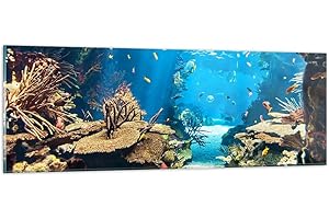 ARTTOR Moderne Impression sur Verre Océan Récif Poissons Corail Image Tableau en Verre Decoration Murale 90x30cm Deco Cadre Salon Chambre Panoramique Petit Tableaux Decoratifs Muraux Art GAB90x30-2872