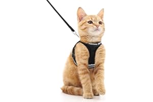 rabbitgoo Arnes Gatos y Correa 150cm Chaleco Ajustable Antitirones Reflectante Cómodo Correa Mágica para Fácil de Poner y Quitar para Paseo Diario Arnes para Perro Pequeño Conejos Gatos M Negro