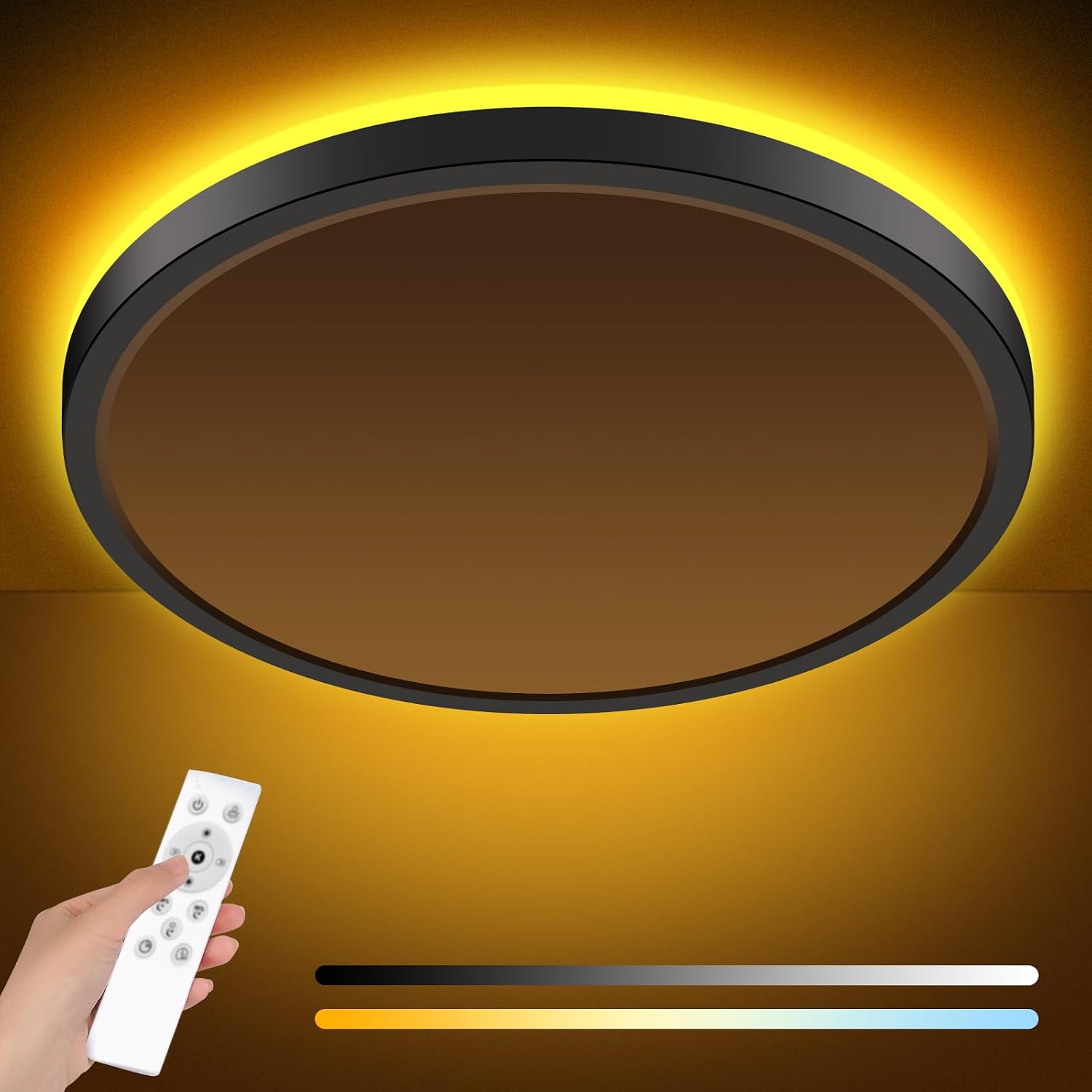 Vue 12