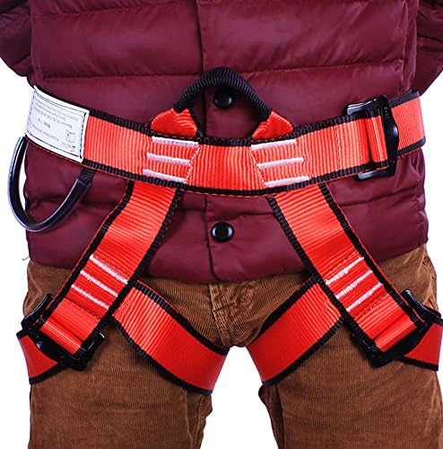 WCYBELT Full Body Harness Half Body Guard Protect Rock Outdoor Rock Climbing Fire Rescue Working High Women Man Adjustable Thicken Professional 4 Colors