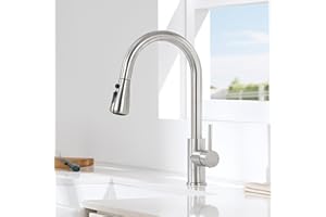 DERW Kitchen Tap, Kitchen Mixer Tap with Pull Out Sprayer, Swivel Spout with 2 Modes Spray, Stainless Steel Construction, Single Handle for Easy Control, Anti-Burst Hose, Quick Installation
