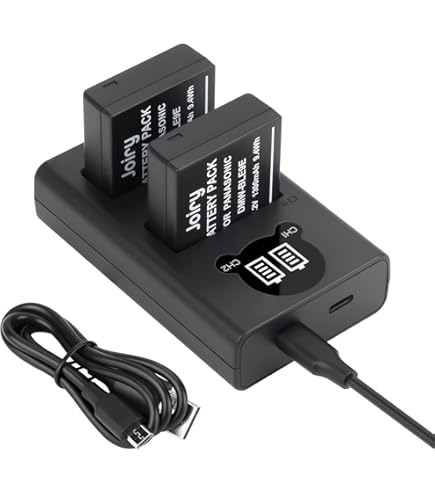 Caricabatterie Panasonic DMW-BTC12 Per Batterie Lumix - USB O Presa, Nero, Compatibile Con Molti Modelli