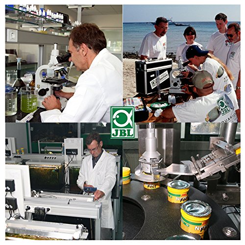 JBL 41017 Alleinfutter für mittlere Koi von Größe 15-35 cm, Pellets, Midi, 1er Pack (1 x 5.5 l) - 6