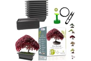 CULTIVEA® Kit Prêt à Pousser Bonsaï – Graines Françaises 100% Écologiques - Jardinez et décorez - Idée Cadeau - Made in France (Coffret duo bonsaï, 1)