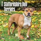 Staffordshire Bull Terriers - Bull Terrier 2018 - 18-Monatskalender mit freier DogDays-App: Original BrownTrout-Kalender [Mehrsprachig] [Kalender] (Wall-Kalender) by 