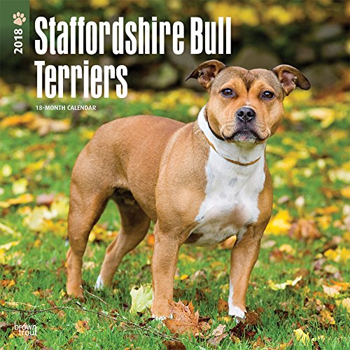 Staffordshire Bull Terriers - Bull Terrier 2018 - 18-Monatskalender mit freier DogDays-App: Original BrownTrout-Kalender [Mehrsprachig] [Kalender] (Wall-Kalender)