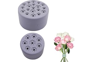 Quixotical 2 Stück Spiralförmiger Ikebana Stielhalter, Twist Blumenarrangement Halter, Ikebana Stielhalter, DIY Blumenstrauß, Kieselerde, Blumenstielhalter für Blumenvasen (S+L)