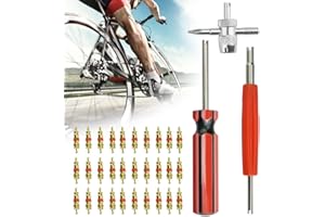 AFASOES Tyre Valve Removal Tool Kit, 4 in 1 Tyre Valve Repair Tool Tire Valve Stem Puller Tools Set Car Tire Valve Core Remover Tyre Valve Repair Kit with 30 Pcs Schrader Valve Core for Car Bick Auto