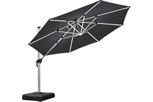 PURPLE LEAF Parasol De Jardin Extérieur 3 m Rond avec LED, Parasol Déporté avec Manivelle, Parasol Excentré Inclinable avec Housse de Protection, Gris acie