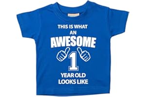 60 Second Makeover Limited This is What an Awesome 1 Year Old Looks Like Blue Tshirt