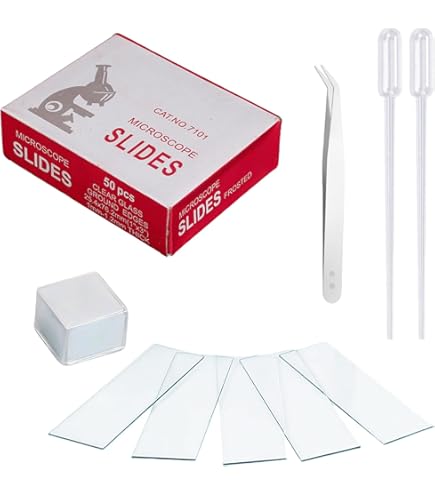 Lames De Microscope En Verre - Lot De 100 + 5 Compte-gouttes - Dimensions 25,4 X 76,2 Mm - Pré-nettoyées
