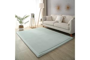 CASTLYE Coral Velvet Kids Rug - 0.79" Baby Play Mat， Crawling Mats for Children, Light green, 78.74x118.11in